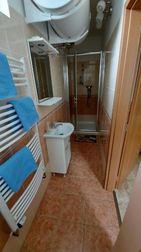 a bathroom with two bunk beds and a sink and a shower at Apartmán Jaruška in Týn nad Vltavou