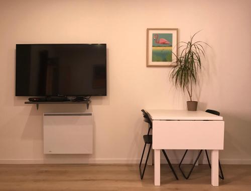 - un salon avec une télévision et une table avec une plante dans l'établissement 2 pièces Hyper Centre Équipé et Confortable Toulon, à Toulon