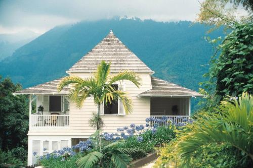 a white house with a palm tree and flowers at Strawberry Hill in Newcastle