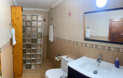 プラヤ・デル・クーラにあるDemelza Beachのバスルーム(トイレ、洗面台、鏡付)