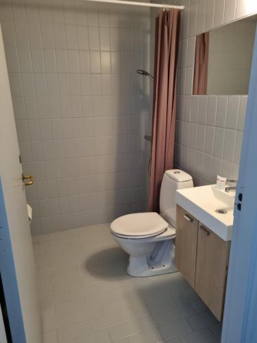 a bathroom with a toilet and a sink at Dronninglund Hotel in Dronninglund