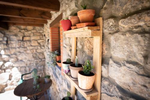 a shelf with potted plants on a stone wall at Casa Rural Solapeña in Pallide
