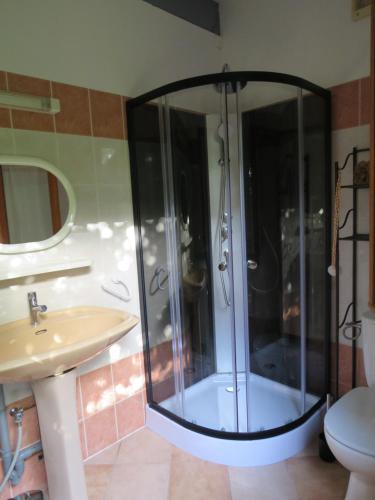 サルラ・ラ・カネダにあるPetit chalet cosy Sarlatのバスルーム(シャワー、シンク付)