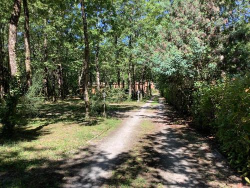 a dirt road in the middle of a forest at La Morandiere in Grayan-et-lʼHôpital