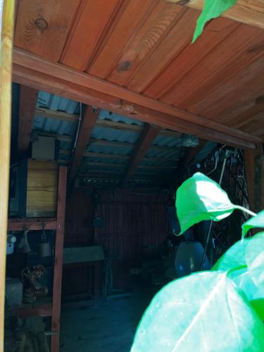 a room with a wooden ceiling with a ladder at Agroturystyka Nielisz Zamość - Kwatery przy Skansenie in Nielisz