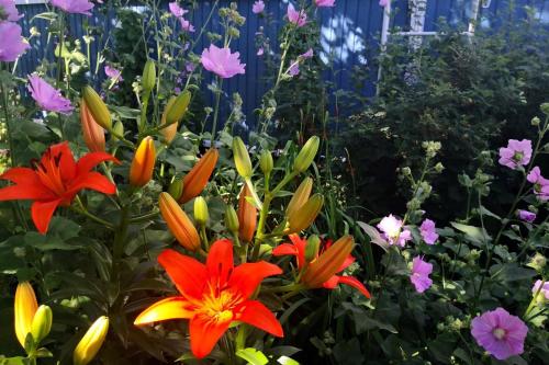 a bunch of flowers in a garden at Airport Mint House Studio in Vantaa