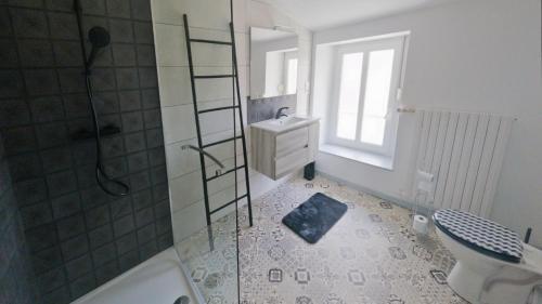 a bathroom with a shower and a sink and a toilet at Le chat Moustic in Rarécourt