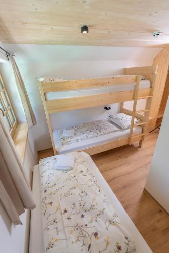 a bedroom with two bunk beds in a room at Planinska koča na Uskovnici in Srednja Vas v Bohinju