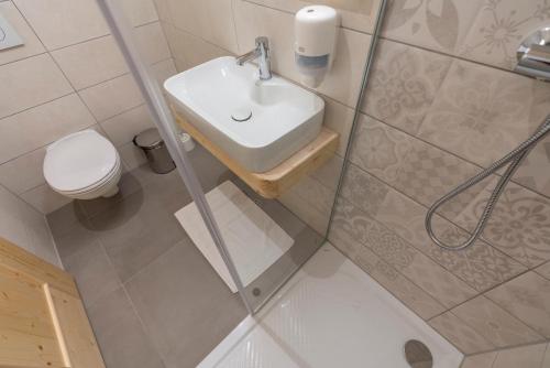 a bathroom with a sink and a toilet and a shower at Planinska koča na Uskovnici in Srednja Vas v Bohinju
