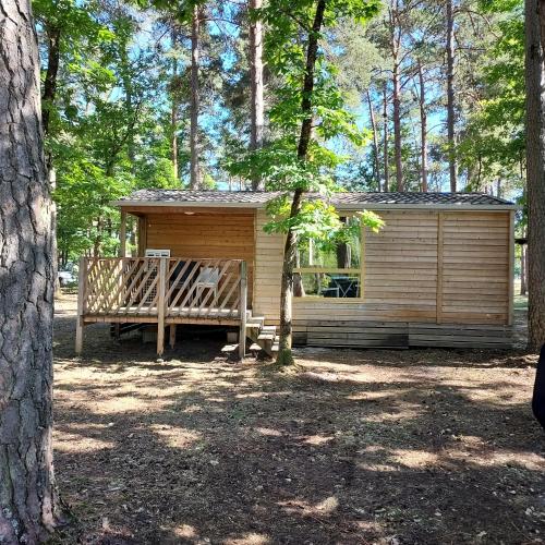 une cabane en bois avec un banc dans les bois dans l'établissement Camping Onlycamp Les Pins, à Nançay