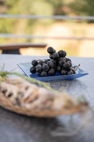 a pile of black grapes on a plate on a table at Armonia Studios Preveza in Preveza