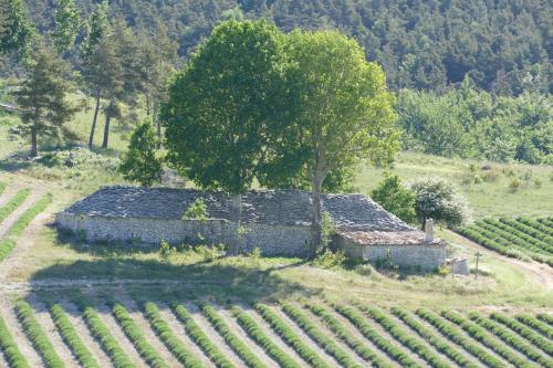 an old stone building in a field with a tree at Les bois rouges in La Rochegiron