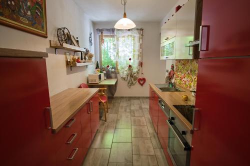 Kuchyň nebo kuchyňský kout v ubytování Apartma Pic Ros