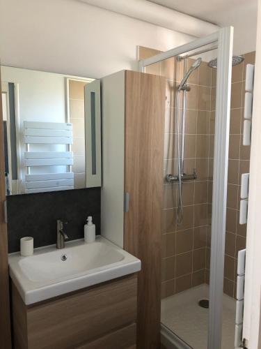 une salle de bain avec un lavabo et une douche dans l'établissement DEMOISELLES - Appartement 1 chambre, à Saint-Jean-de-Monts