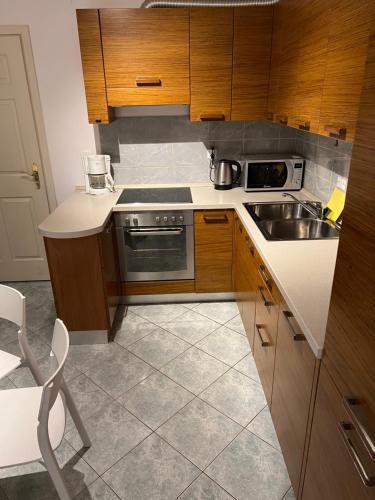 kuchnia z drewnianymi szafkami i zlewem ze stali nierdzewnej w obiekcie Apartman LOTA w Novalji