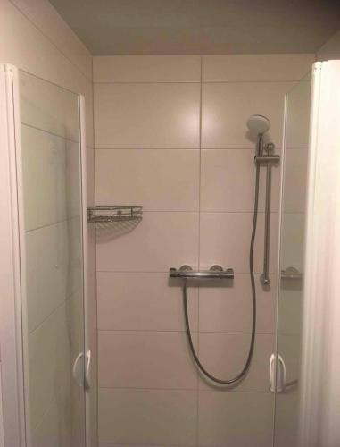 a bathroom with a shower with a glass door at Ruheoase in Wolfern, zw. Wien & Salzburg in Maria Laah