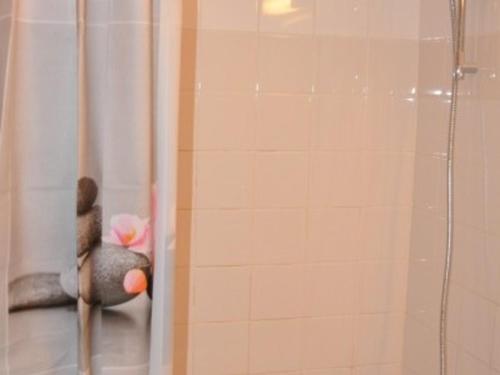 - un rideau de douche avec un animal farci dans la salle de bains dans l'établissement Studio cabine au pied des pistes, balcon, accueil animaux - FR-1-557A-20, à La Ferrière