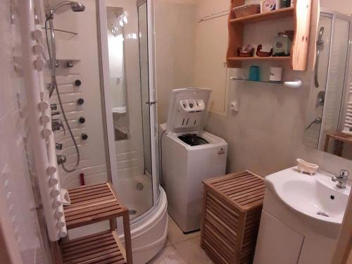 une salle de bain avec une douche, des toilettes et un lavabo dans l'établissement Appartement 2 chambres avec jardin plein sud pour 6 personnes - Barcelonnette, 04400, France - FR-1-165A-19, à Barcelonnette
