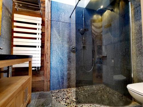 une salle de bain avec une douche avec un lavabo et des toilettes dans l'établissement Chalet familial aux Gets, proche pistes, 4 chambres, cheminée et Wifi - FR-1-598-35, aux Gets