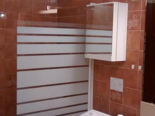 a bathroom with a shower with a white cabinet at Appartement Barcelonnette, 2 pièces, 4 personnes - FR-1-165A-99 in Barcelonnette