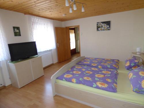 1 dormitorio con 1 cama y TV de pantalla plana en Ferienwohnung Dasch, bei Idar-Oberstein im Nationalpark Hunsrück-Hochwald, en Siesbach