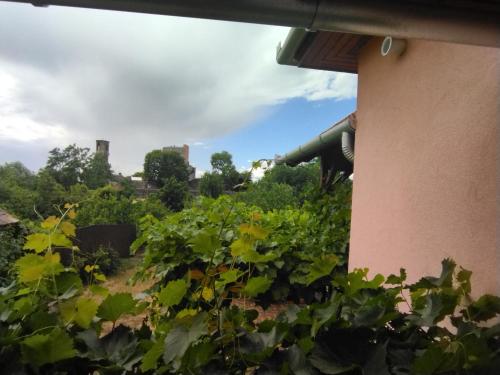 a cannon on the side of a building with plants at Vár-Liget Vendégház in Kisnána