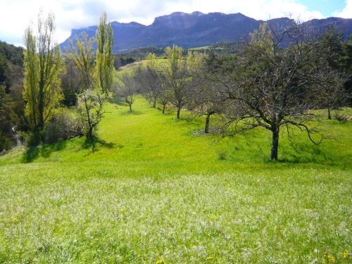 un champ d'herbe avec des arbres et des montagnes en arrière-plan dans l'établissement Charmant loft en campagne, à La Clastre