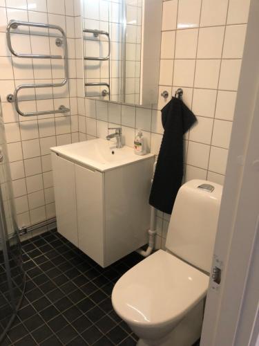 a bathroom with a toilet and a sink and a mirror at A Beautiful one bedroom apartment in Stockholm
