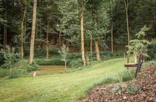a park bench sitting in the middle of a forest at Usedlost Pivoňka in Mnichov