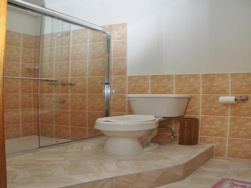 a bathroom with a toilet and a glass shower at Windmill Villa in Craighton