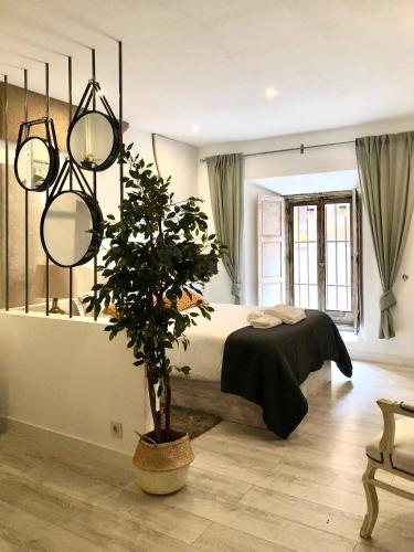 sypialnia z łóżkiem i doniczką w obiekcie ApARTment Madrid w Madrycie