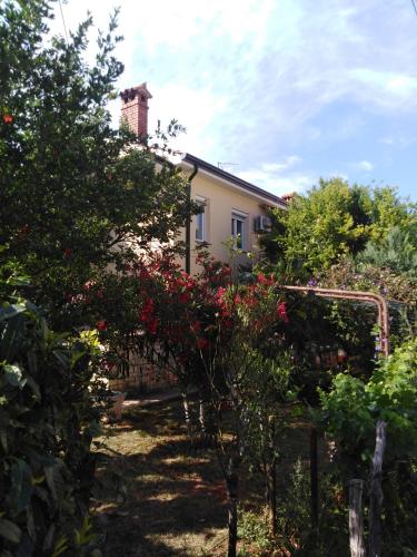 Apartment Family Juricic