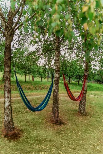 two hammocks hanging between two trees in a park at Szmaragdowy domek in Nowy Wiśnicz
