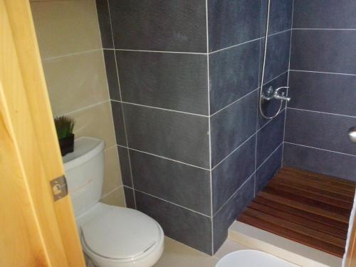 a bathroom with a toilet and a shower at Furnished in class A in Santiago de los Caballeros