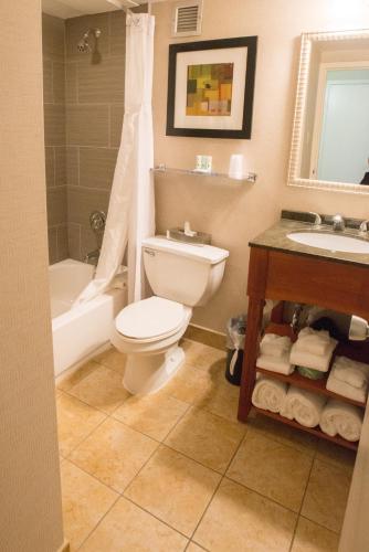 a bathroom with a toilet and a tub and a sink at Exton Hotel and Conference Center in Exton