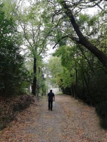 Φυσικό τοπίο κοντά σε αυτή η εξοχική κατοικία