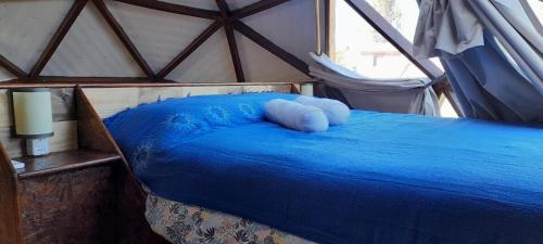 a room with a bed with a blue comforter at DOMO ¨EL TIO JUAN¨ in Piriápolis