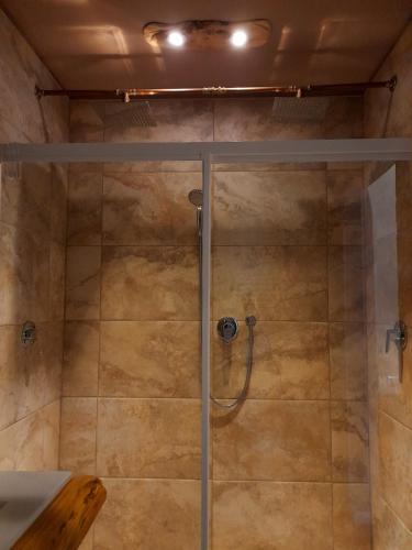 y baño con ducha y puerta de cristal. en Villa Sofia-La camera nella Riserva en Pettorano sul Gizio