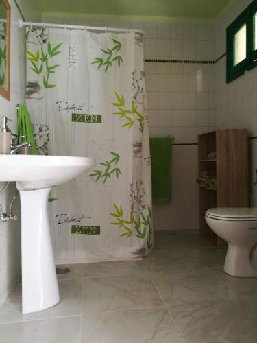 a bathroom with a shower curtain with a toilet and a sink at Apto Punta Mujeres LAS ROSAS in Punta Mujeres