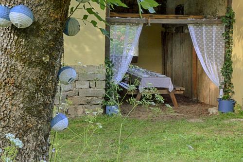 a garden with a table and a tree at Zuzmó Guesthouse, Jósvafő, Aggtelek National Park - Stylish 150 year old farmhouse for 10 guests in Jósvafő