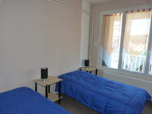 une chambre avec deux lits et une fenêtre dans l'établissement Le Pariou, à Clermont-Ferrand