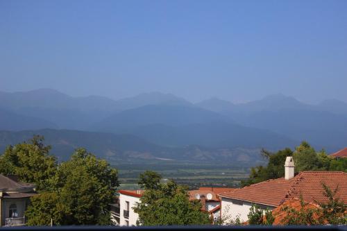 a city with houses and mountains in the background at Hotel mia Telavi in Tʼelavi