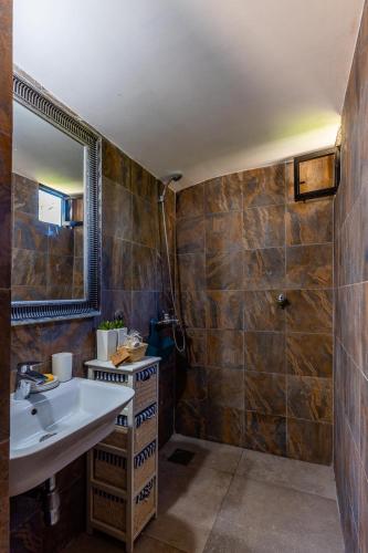 a bathroom with a sink and a mirror and a shower at Lake House Buric in Vranjina