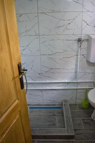 a bathroom with a toilet and a door with a tile wall at Durmitor view - Bungalow in Žabljak