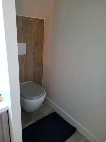 a bathroom with a toilet in the corner at Ti Fanch, maison proche de Quimper in Landudal