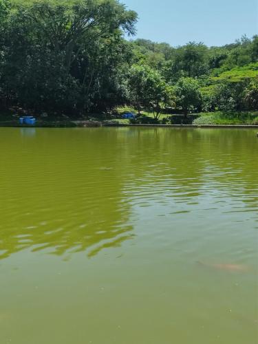 a large body of water with trees in the background at Chácara Mig&Vá in Itupeva