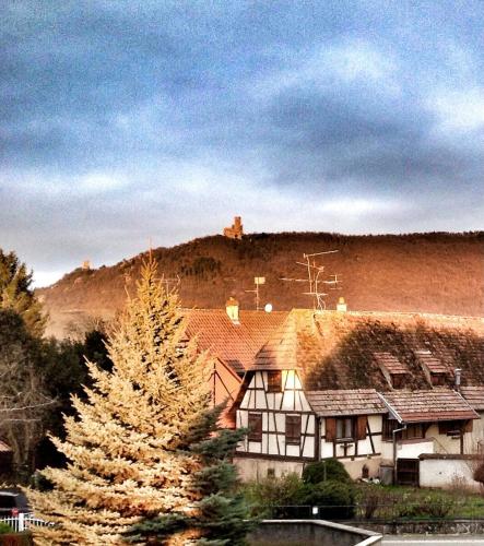a house with a christmas tree in front of it at Gite Au sauna de l’Aubach in Scherwiller