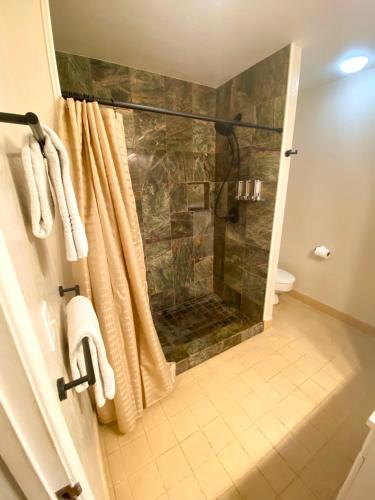 a bathroom with a shower with a glass door at Beachfront 1 Bedroom Condo with Private Beach, Pool, Hot Tub in Pahala