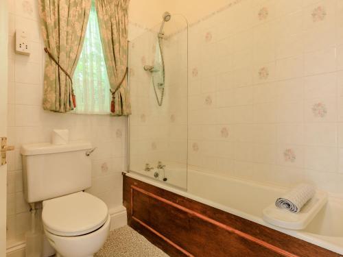 a bathroom with a toilet and a bath tub at Clooneavin Chalet in Lynmouth