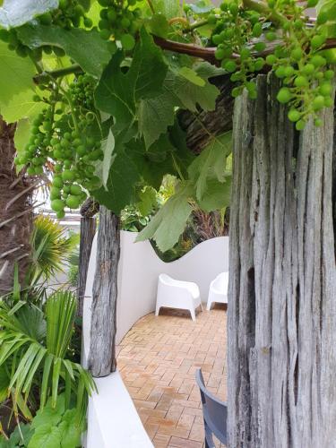 Jardín al aire libre en Breakers Motel